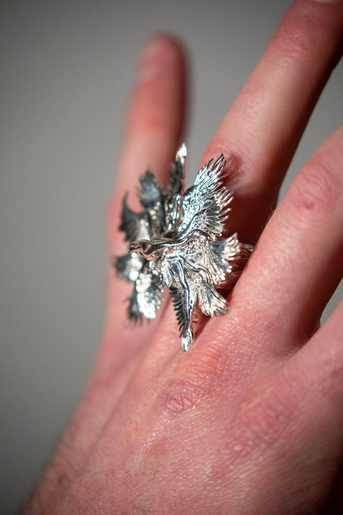 Bird of Pray Ring in silver finish