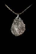 Medium Idea Idea Wing Fossil Pendant Antique Patina — image 2
