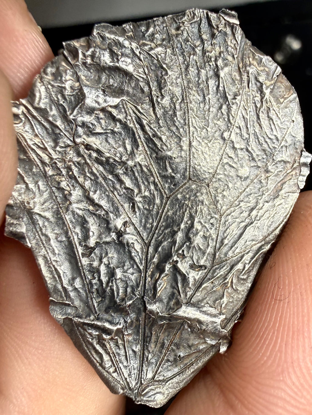 Idea Butterfly Fossil Pendant