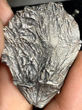 Idea Butterfly Fossil Pendant