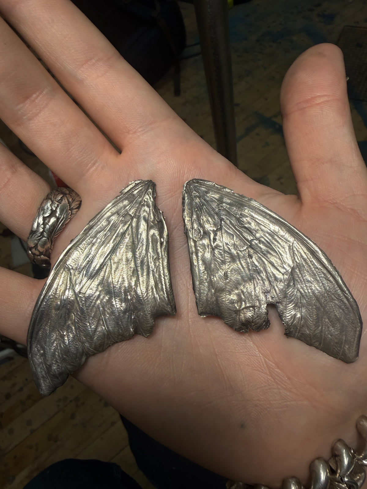 Morpho Butterfly Fossil