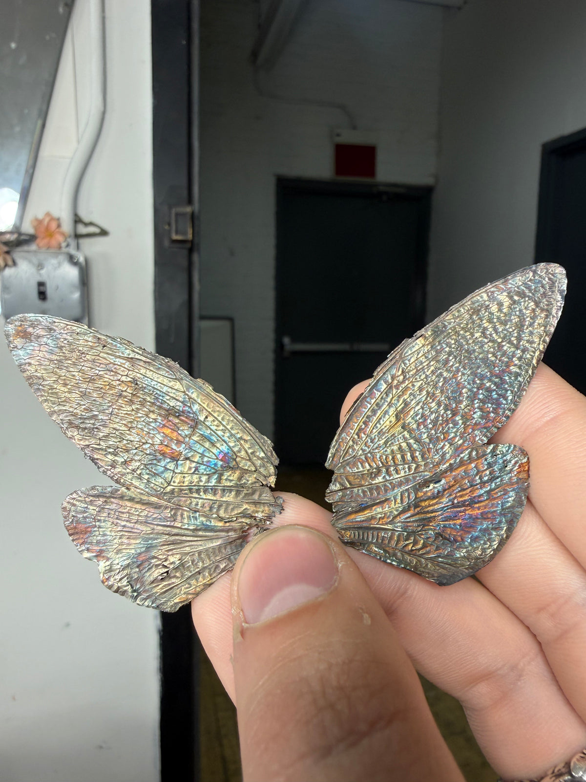 Fae of Haft fossilized cicada wing ear cuffs with iridescent patina — image 2
