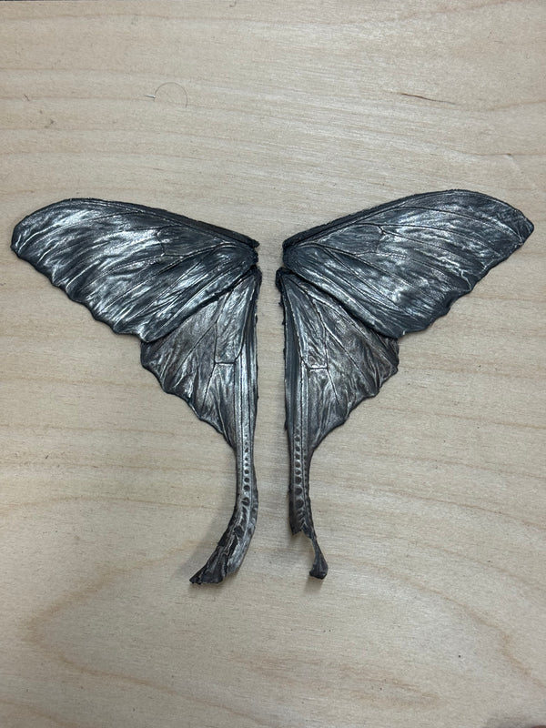 A complete comet moth fossil by HAFT with all four wings