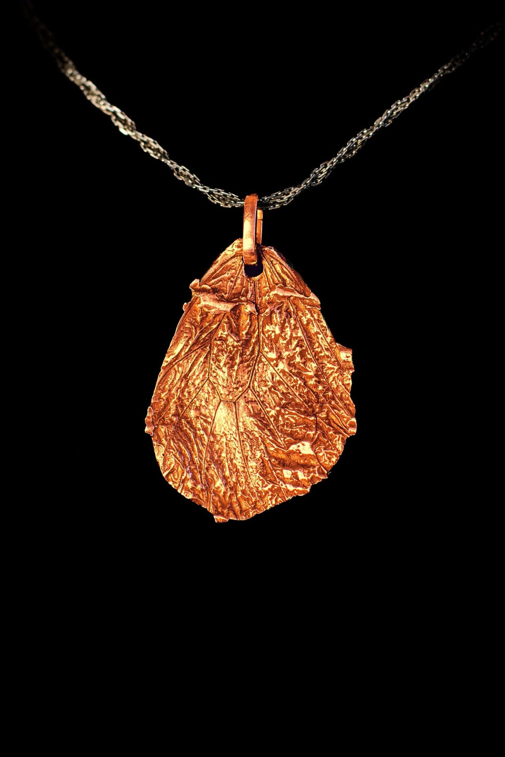 Copper Idea Butterfly Fossil Pendant on a chain against black