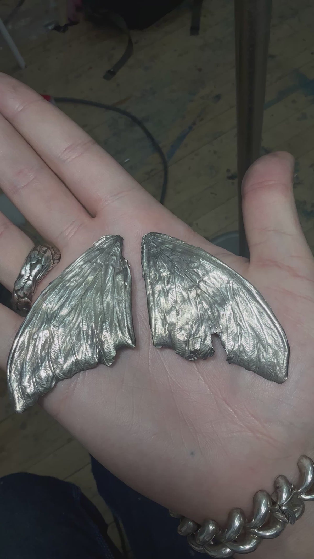Morpho Butterfly Fossil
